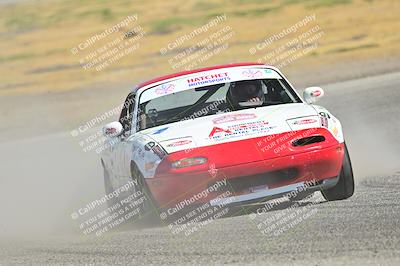 media/May-24-2025-Turn8 Trackdays (Sat) [[034586b55d]]/1 Advanced 2/Session 2 (Cotton Corners-Grapevine)/